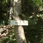 Rodachtal Mit Gaestehaus Katharina Schwarzenbach am Wald